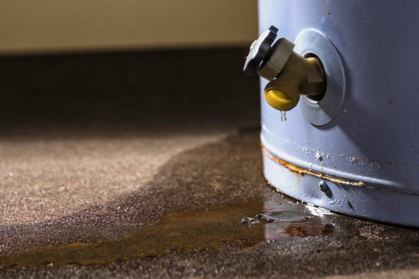 Best Water damage contractors near me  in Ravenswood, WV