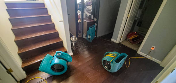 Best Professional water damage repair  in Ravenswood, WV