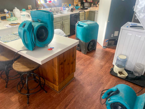 Best Basement water damage restoration  in Ravenswood, WV