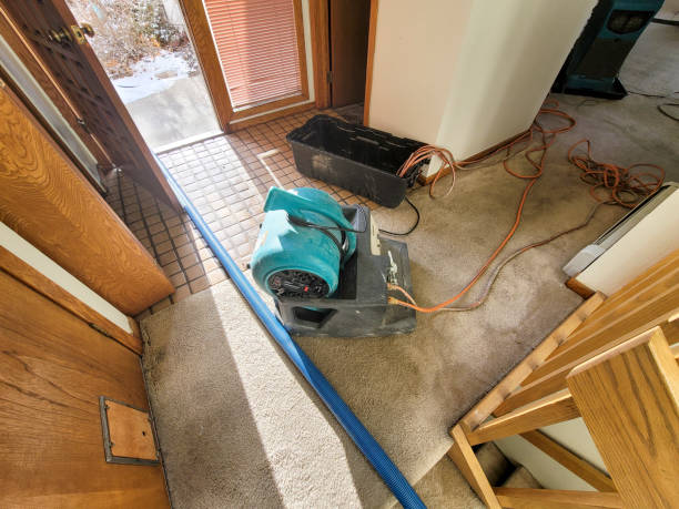 Best Flood damage cleanup  in Ravenswood, WV