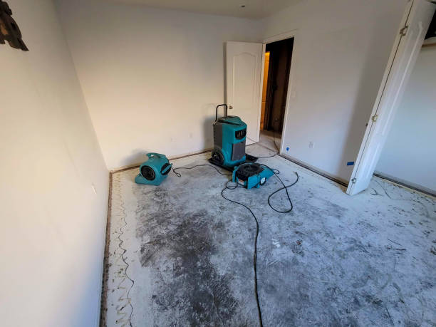 Best Water damage restoration process  in Ravenswood, WV