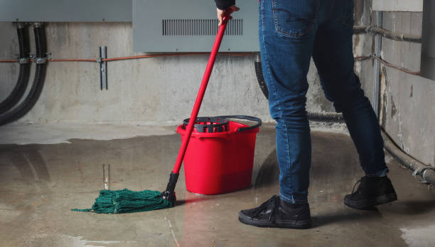 Best Carpet water damage restoration  in Ravenswood, WV