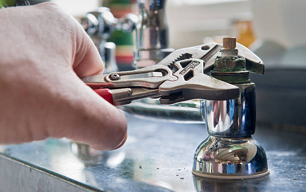 Best Water damage cleanup near me  in Ravenswood, WV