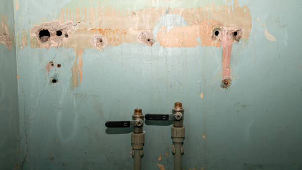 Best Water damage restoration near me  in Ravenswood, WV