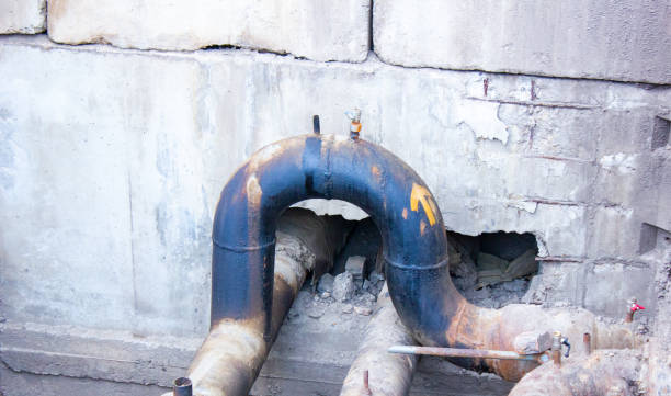 Best Water damage cleanup near me  in Ravenswood, WV