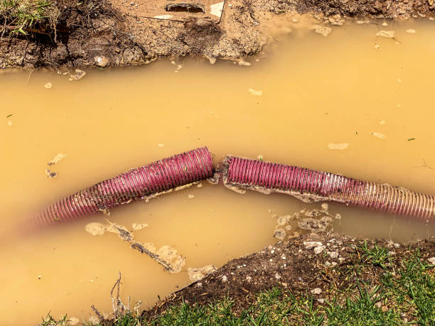 Best Local water damage restoration  in Ravenswood, WV