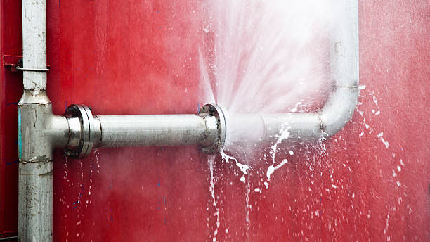 Best Flood restoration services  in Ravenswood, WV