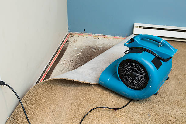  Ravenswood, WV Water damage restoration Pros